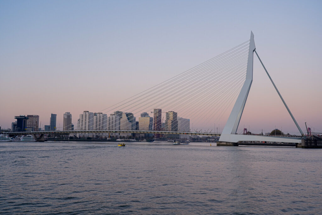 doen in rotterdam