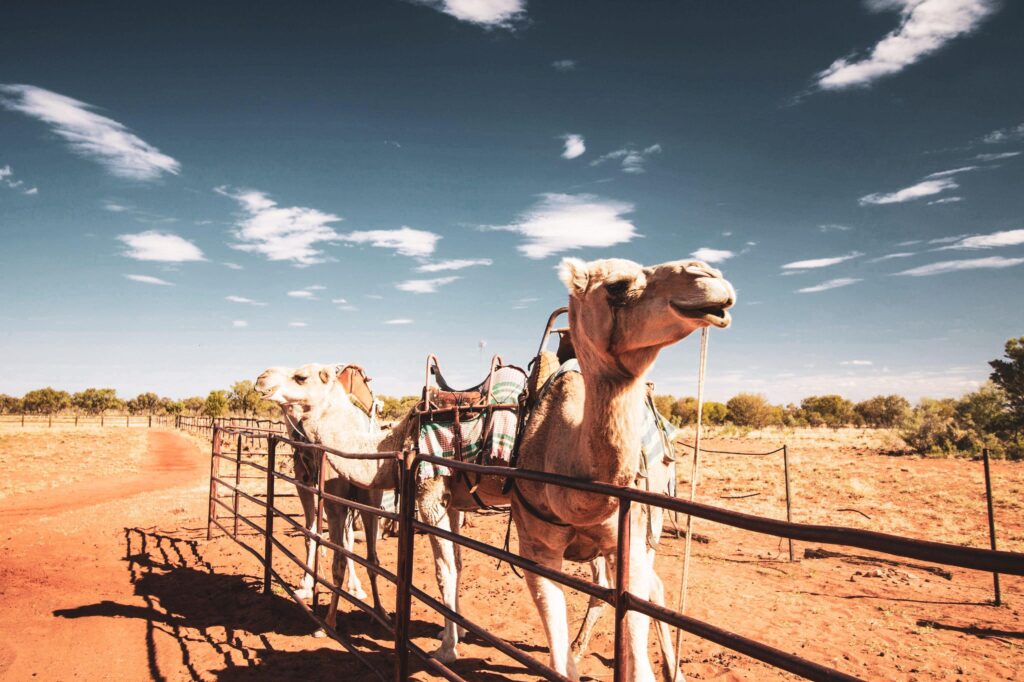 reisblog wat je moet weten voordat je vertrekt naar australie - a travelnote