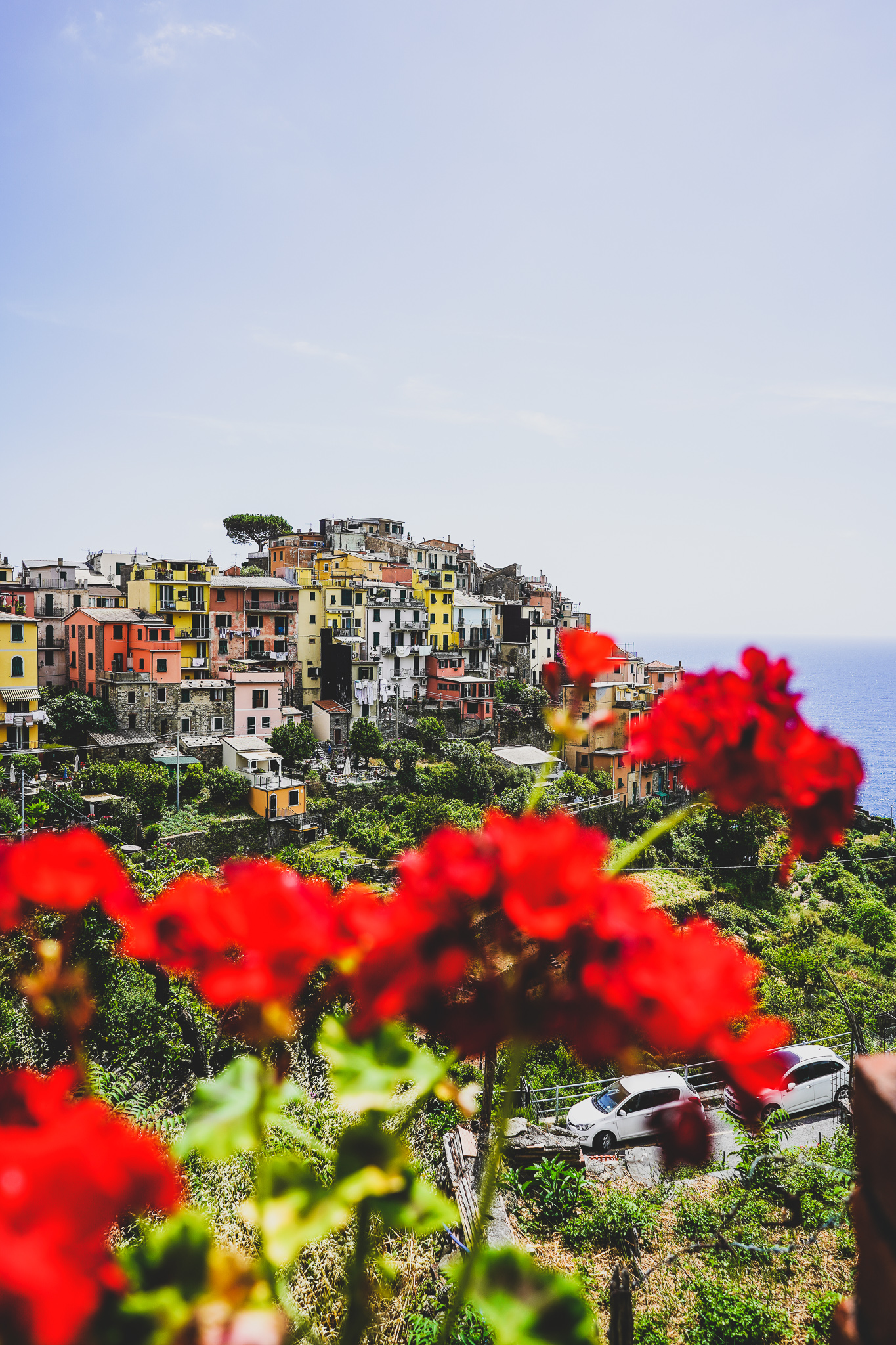 Bezoek aan Cinque Terre - handige tips en informatie