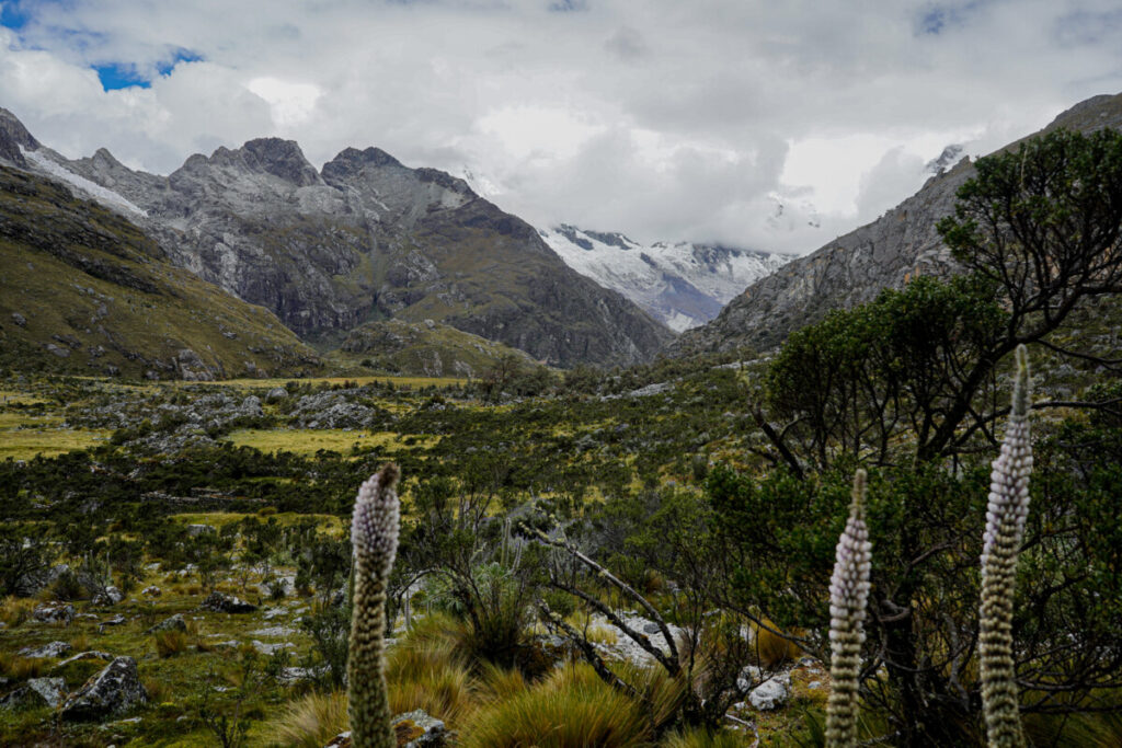 tips voor je naar peru gaat