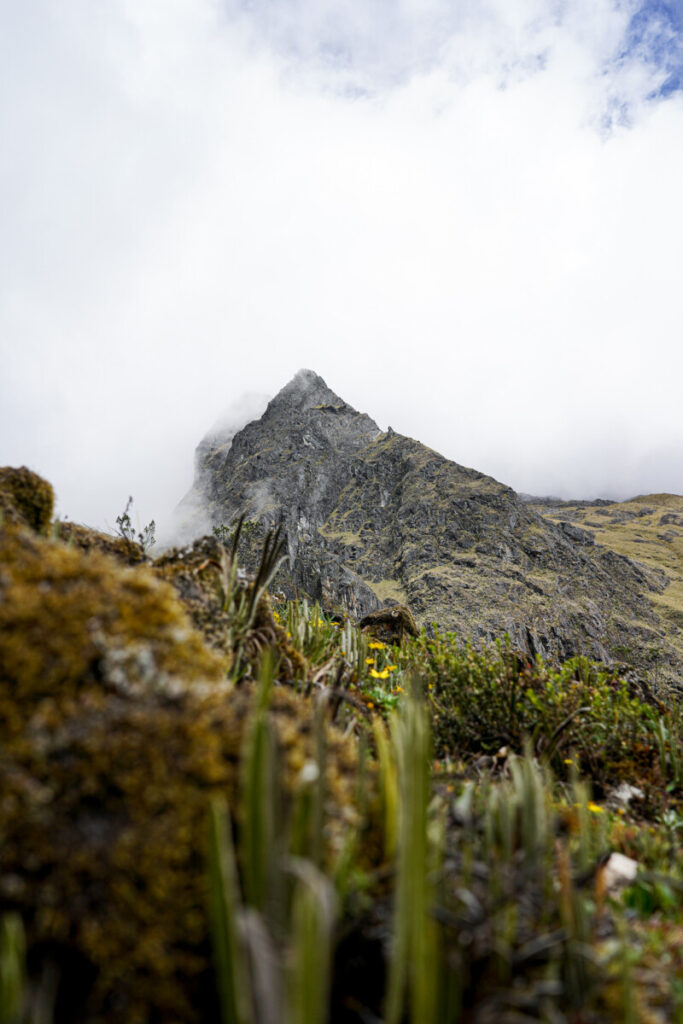 salkantay mountain trek