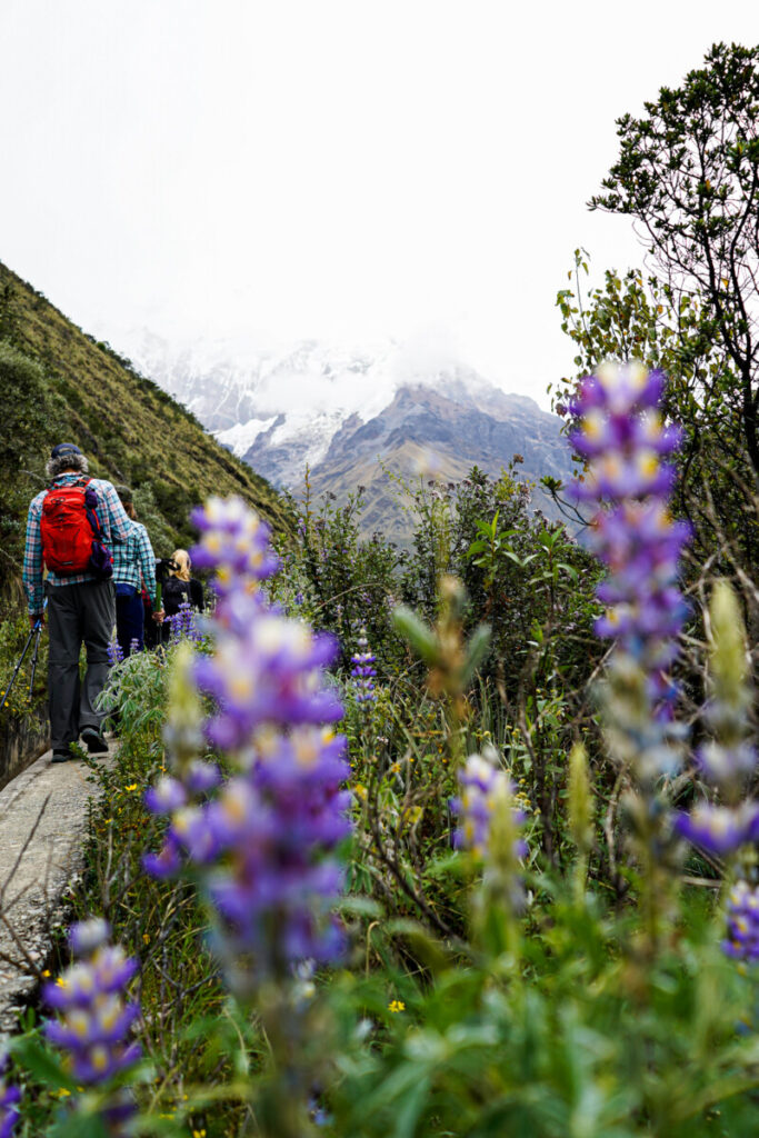 salkantay trek