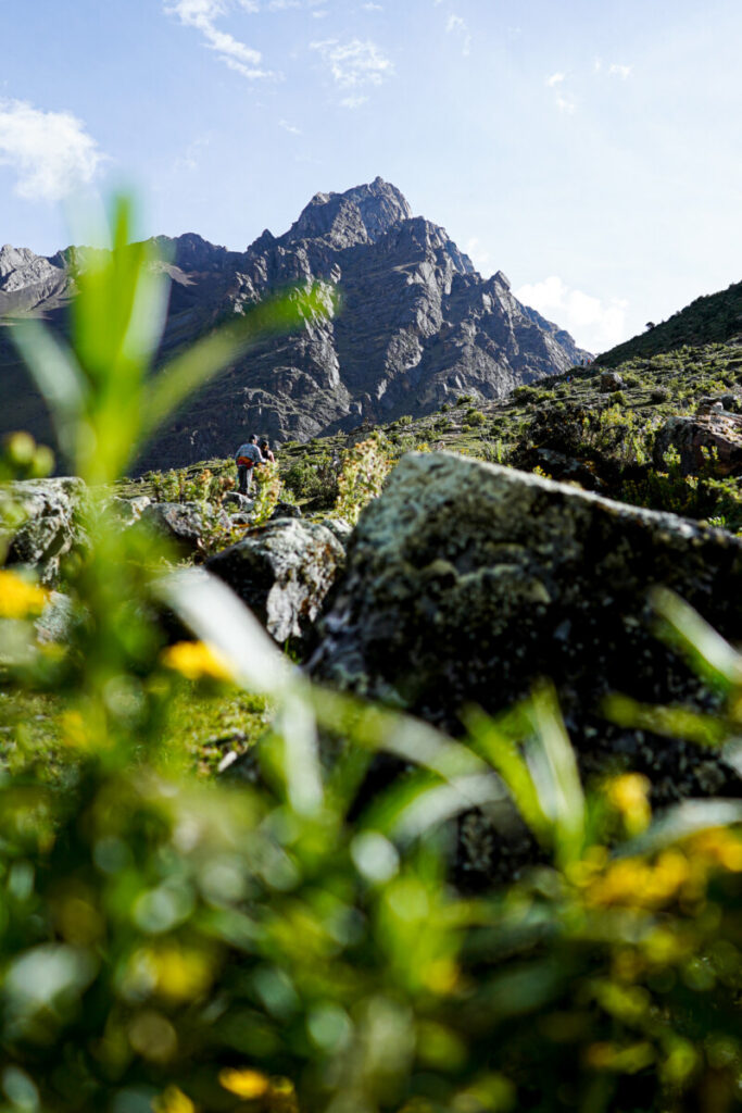 trek salkantay