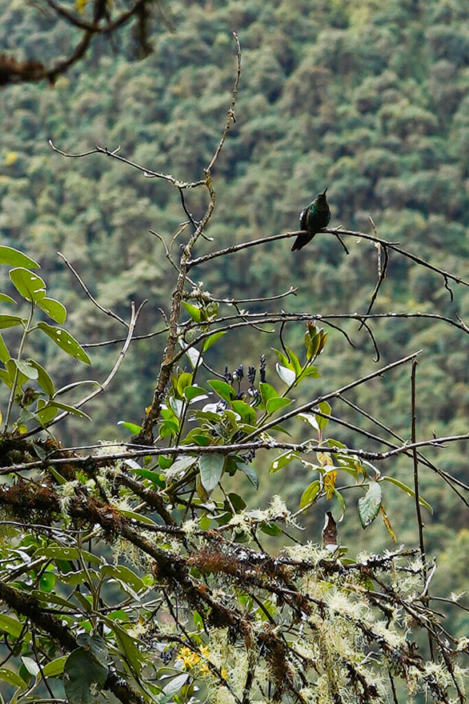 trektocht salkantay