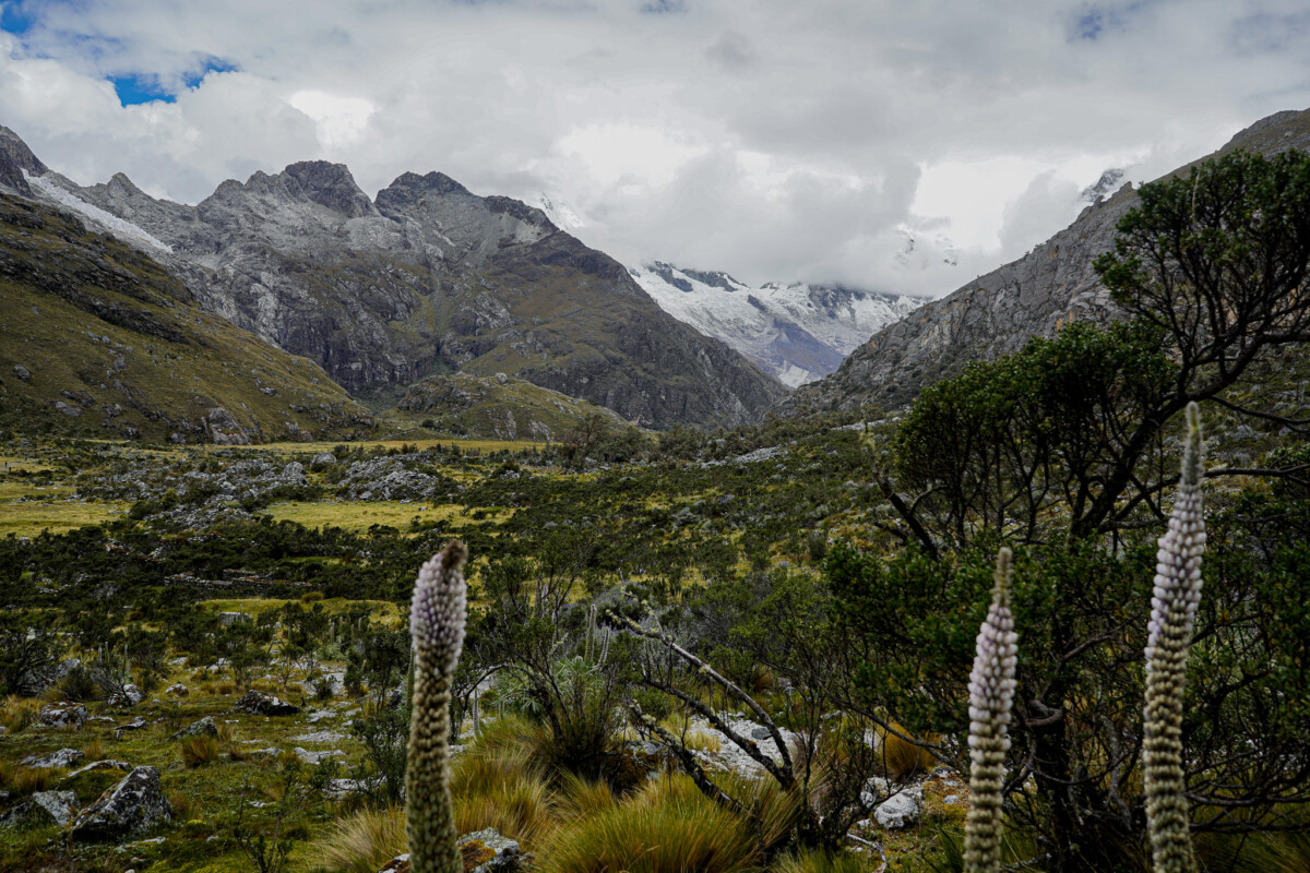 hiken laguna 69 peru