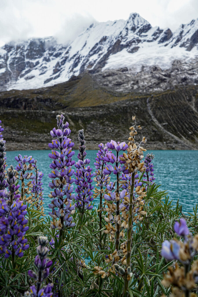 huaraz tips