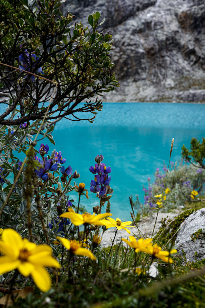 laguna 69 peru hike