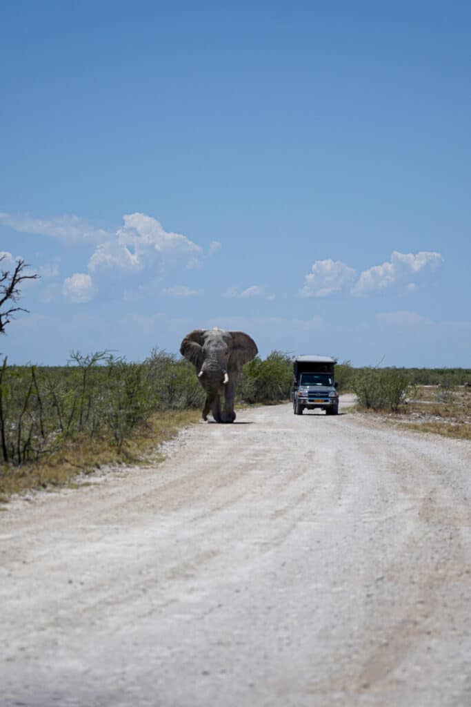 autoroute namibie
