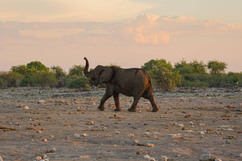 reisroute namibie