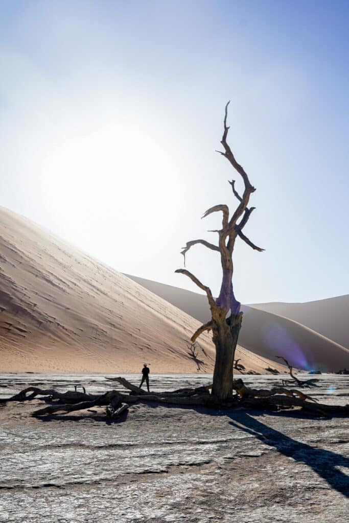 route namibie