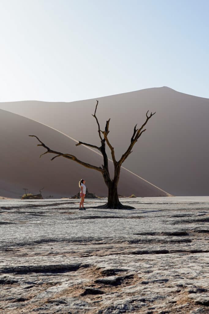 dodevlei namibie