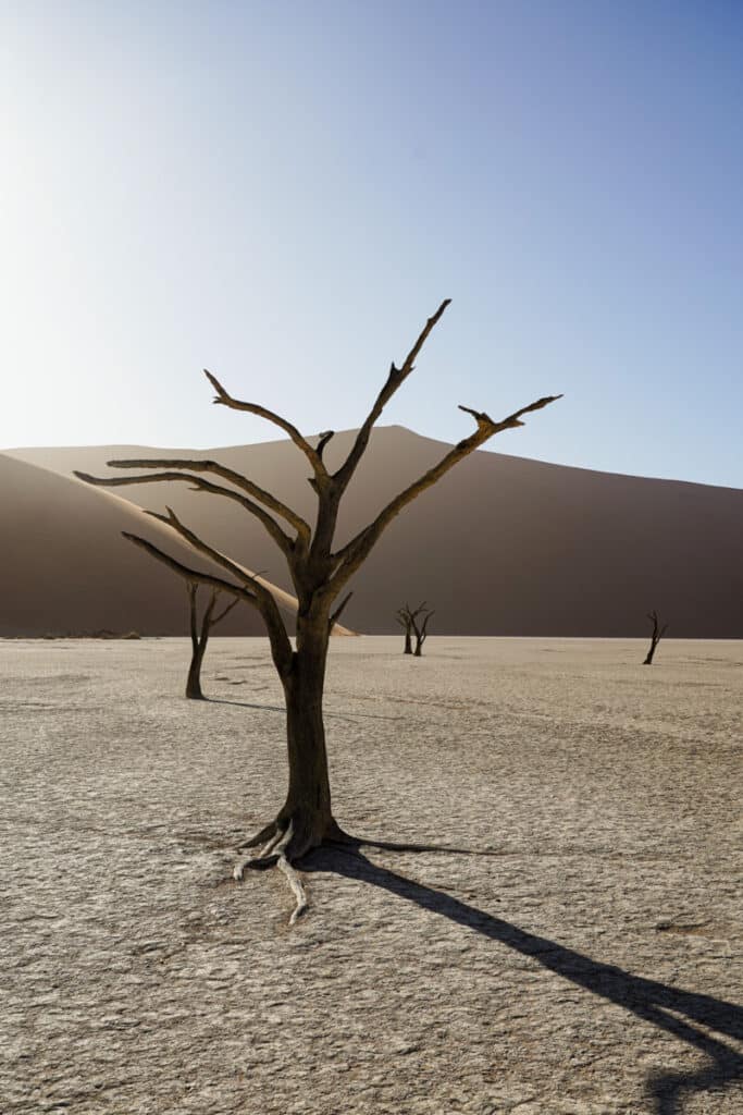 namibie dodevlei bezoeken