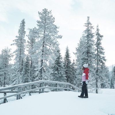 Vakantie naar Lapland inclusief excursies
