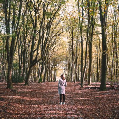 mooie herfstwandeling nederland